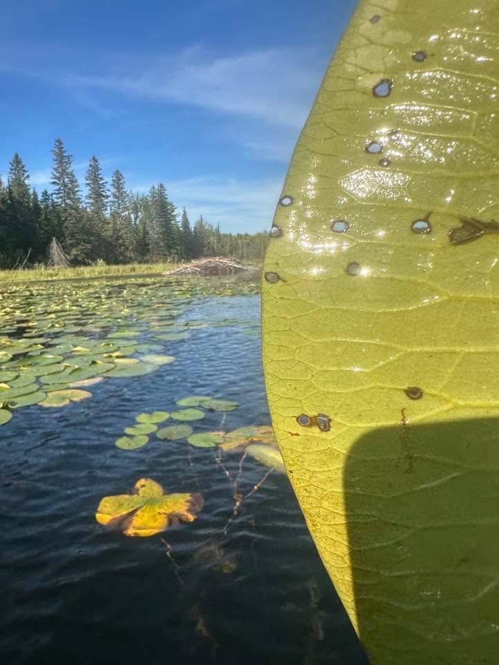 smnorthbird's tweet photo. What a beautiful day! https://t.co/5zxSHcJutJ
