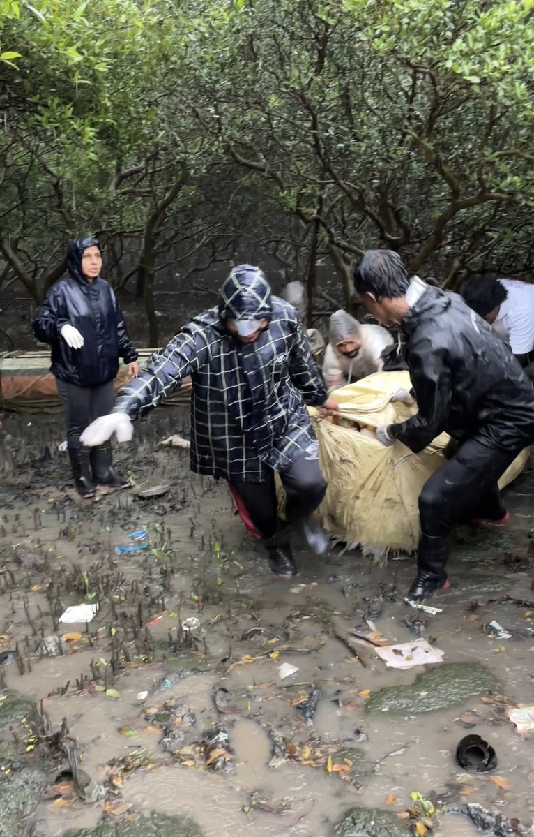 EnvironmentLife's tweet photo. Week 317 #MangrovesCleanup drive

The Reality Check

​Every piece of plastic tossed on the street has a destination. Mangroves cleanup drive proved it ends up wrapped around mangrove roots, suffocating our city's only defense against coastal floods.
#StopLittering 
@Dev_Fadnavis https://t.co/s0OkP4vDa5