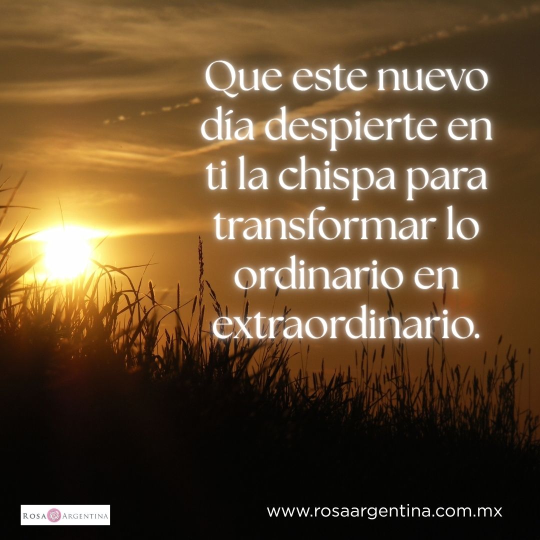 rosaargentinarl's tweet photo. Aventúrate a mirar el entorno con otros ojos, dónde cada rato de luz es una página en blanco esperando ser escrita con ideas más audaces.
#rosaargentina #audacia #aventurate https://t.co/NSBzq489Ey