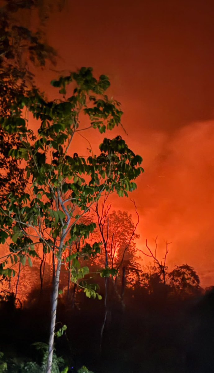 SalingJagaWarga's tweet photo. URGENT!!
Kami butuh tambahan SDM dari sipil dan para warga untuk turun besok pagi (14/9)

Kondisinya kritis. 
Lagi dan lagi ketika situasi seperti ini terjadi, warga harus turun langsung ikut berjibaku memadamkan api.

Yang sedang dipertaruhkan juga bukan cuma lahan. Lokasi ini sudah masuk kawasan konservasi yang menjadi habitat bekantan dan orangutan.

Kami butuh orang yang siap dan mampu turun ke lapangan membantu pemadaman.
Konsumsi, uang harian, APD, dan alat akan di sepenuhnya.

Kalau kalian berada di sekitar Ketapang dan siap turun besok, DM kami kontak yang bisa dihubungi!!

Tolong bantu sebarkan. 
Besok kami butuh tambahan tangan.
Warga Jaga Warga.

#SalingJagaWarga
