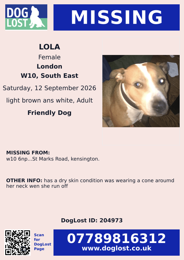 millypod1's tweet photo. 🆘12 SEPT 2026 #Lost lola #ScanMe
Cross Breed Female 
Has a dry skin condition. Was wearing a cone around her neck when she ran off.
St Marks Road #Kensington #W10
#London #GreaterLondon
https://t.co/OvbM83Jcj2 https://t.co/2tu5VdFxIi