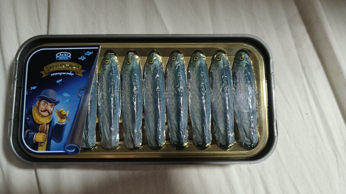cactiwashere's tweet photo. #fishtwt im at my dorm eating fish chocolate https://t.co/glFAmpz7jC
