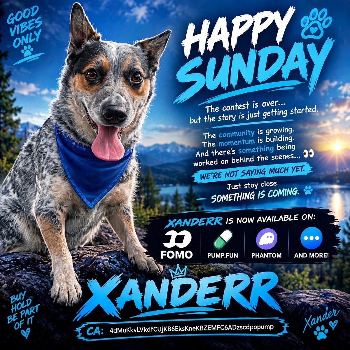 Xanderr1721's tweet photo. 💙🖤 HAPPY SUNDAY, XANDERR FAMILY 🐾

The contest is over… but the story is just getting started.

The community is growing. The momentum is building. And there’s something being worked on behind the scenes… 👀

We’re not saying much yet.

Just stay close.
Something is coming. 🐾💙

XANDERR is now available on FOMO, Pumpfun, Phantom & more!

CA: 4dMuKkvLVkdfCUjKB6EksKneKBZEMFC6ADzscdpopump

#XANDERR #Solana #MemeCoin #Crypto