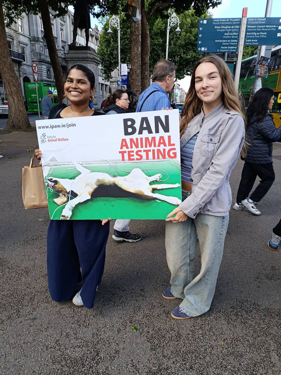 AnimalPartyIE's tweet photo. Party for Animal Welfare were back yesterday afternoon from 12 noon until 2 pm, doing the #BanAnimalLabTesting protest outside #TrinityCollege #Dublin #TCD @tcddublin
PAW wants to set up student branches across all #universities . Join #PAW🐾🐇🐕https://t.co/IZH6fjumPD 🐦🐀 https://t.co/hOK87skEgA