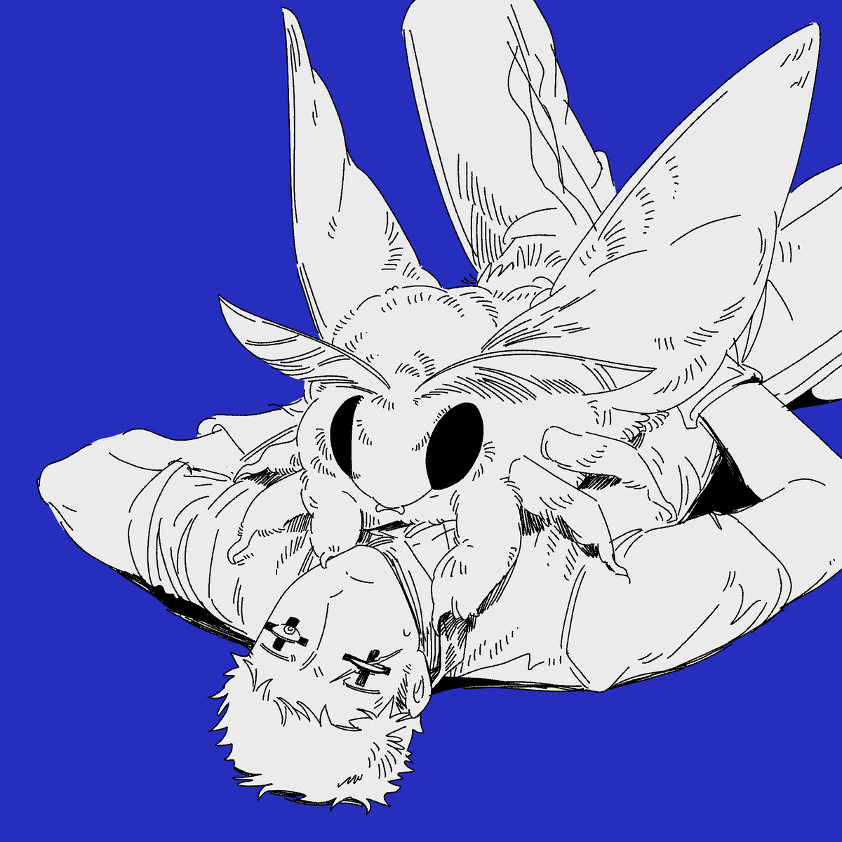 beeeeeebird's tweet photo. #dorohedoro 毒铁
只是一只大蛾 https://t.co/2MIOaNPrAc