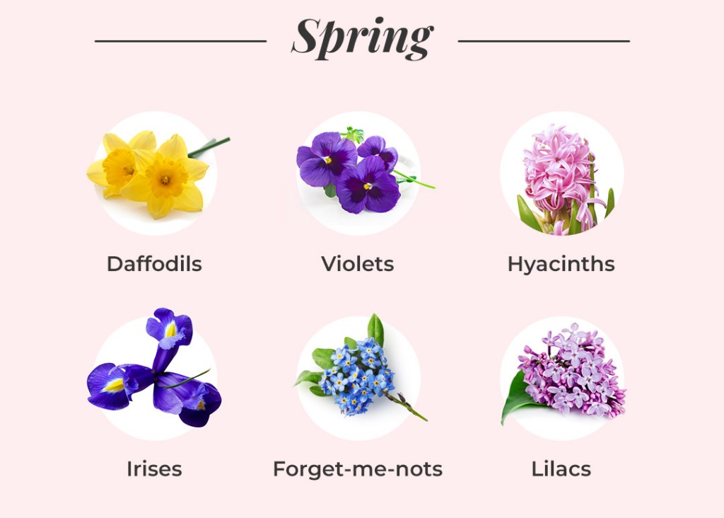 AndrewGarcye8's tweet photo. ป้ายยาเครื่องต้มไข่ที่ใช้มา3ปีแล้ว ใช้งานสะดวก ไม่ต้องคอยจับเวลา https://t.co/1WGvjl8u5I