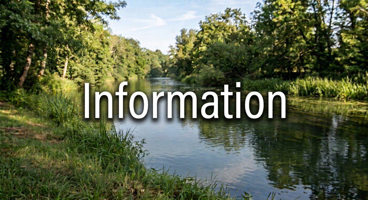 Prefet51's tweet photo. #AlertePollution I Vesle
Une forte mortalité piscicole a été détectée ce dimanche dans la Vesle, à hauteur de la commune de Saint-Brice-Courcelles, par l’association agréée de pêche et de protection des milieux aquatiques (AAPPMA).
L’origine de la pollution n’est pas connue à date mais, par mesure de précaution et au vu du nombre de poissons impactés, toutes espèces confondues, il est recommandé de ne pas consommer de poisson pêché entre la RD75 et la rue de la Fraternité.
Merci de partager pour informer les pêcheurs et riverains du secteur. 📢