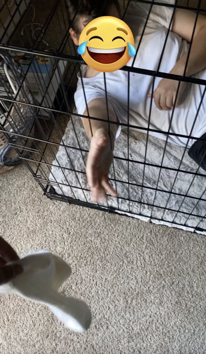 dominia_7502's tweet photo. Les hommes aiment rester enfermé en cage je crois 😂

#soumis #moneyslave #findom #sissy #dominatrice #paye https://t.co/s9Nbgi5CLI