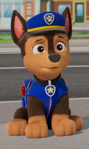 chase_paws17's tweet photo. dropping this picture of concerned chase because why the hell not https://t.co/itKmp4ZJe5