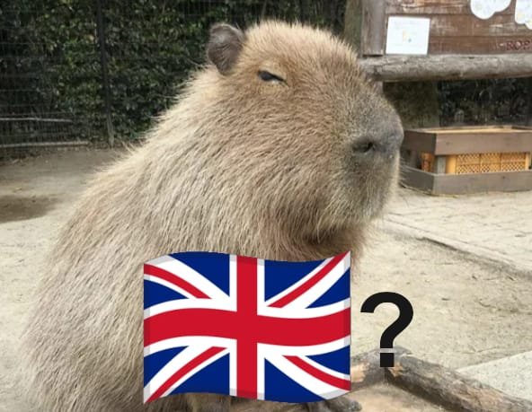 GustavoMolvert's tweet photo. Qué extraño, ¿no? Se habló de Malvinas otra vez y misteriosamente aparecieron cuentas "chilenas" a inventar disputas territoriales con Argentina por territorios que acá ni conocíamos como Campo de Huesos de Guanaco Norte o Isla Caca de Pingüino Constipado.
Muy sospechoso... https://t.co/k9eYyWyuHM