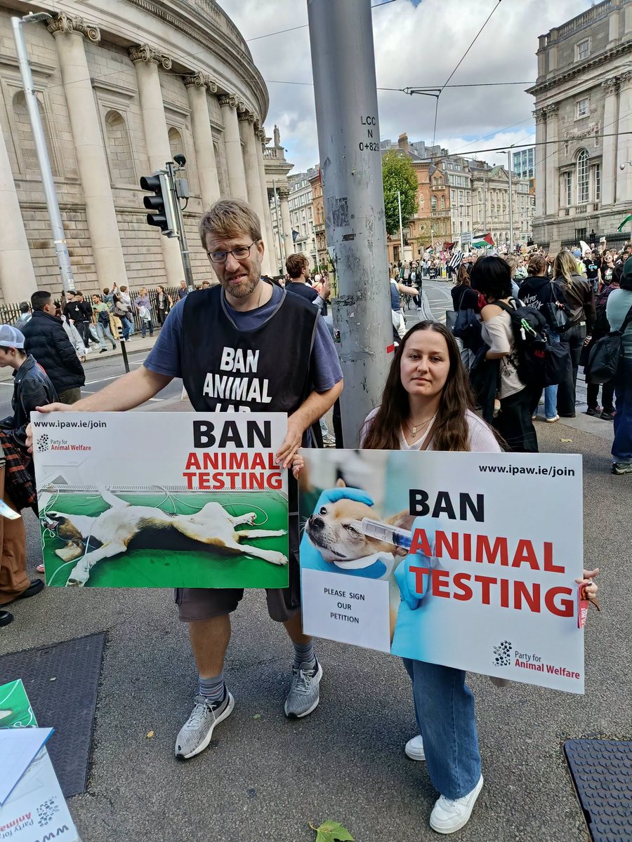 AnimalPartyIE's tweet photo. Party for Animal Welfare were back yesterday afternoon from 12 noon until 2 pm, doing the #BanAnimalLabTesting protest outside #TrinityCollege #Dublin #TCD @tcddublin
PAW wants to set up student branches across all #universities . Join #PAW🐾🐇🐕https://t.co/IZH6fjumPD 🐦🐀 https://t.co/hOK87skEgA