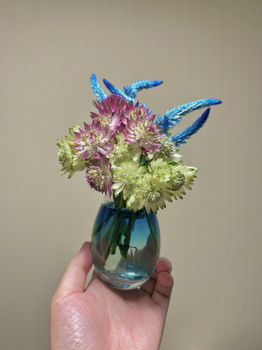arata_512's tweet photo. なんか花生けた水が青く染まってて綺麗なんだが https://t.co/i0T2CDDywQ