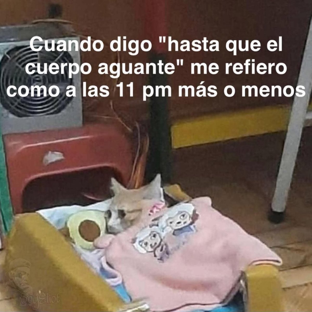 ojoscol0rsol's tweet photo. https://t.co/FchIdOzItG