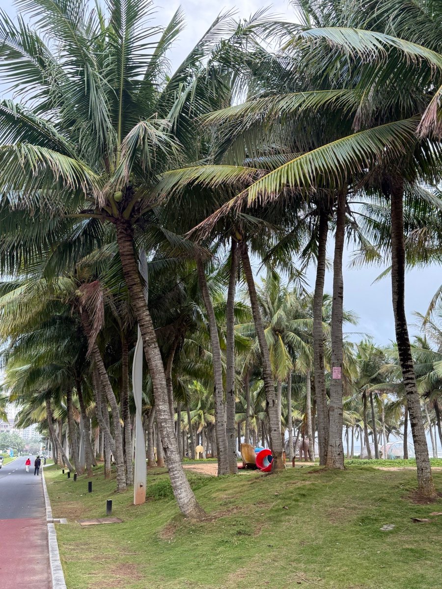 aelzd453190's tweet photo. Just spent 2 hours hiking up that coastal trail, and the view when I reached the top Total soul refresh—salt air in my lungs, waves crashing below, zero regrets. #TravelMoments， https://t.co/dhqwvqGF84