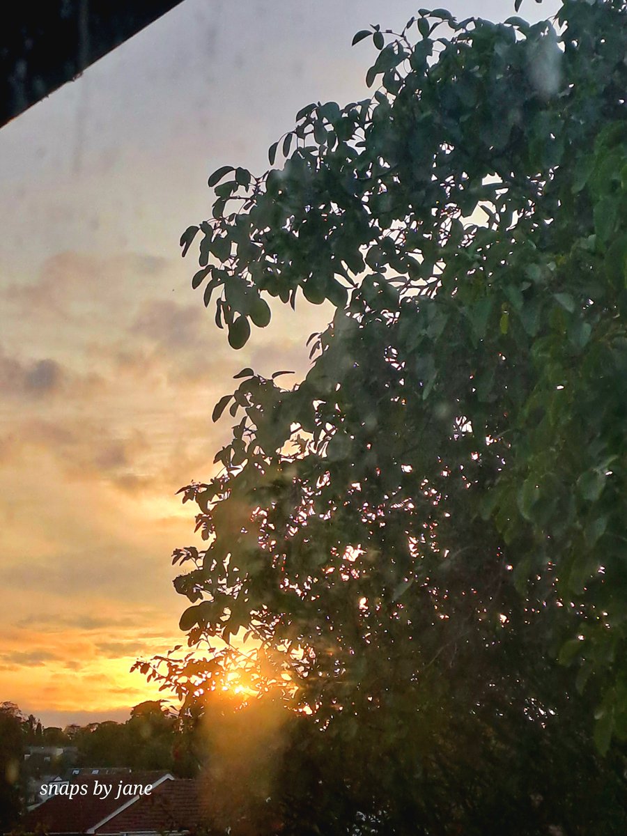 PosherScouse's tweet photo. Forgive the dirty windows, but isn't this a lovely sunset from #mynewflat! https://t.co/RAs03yKFLI