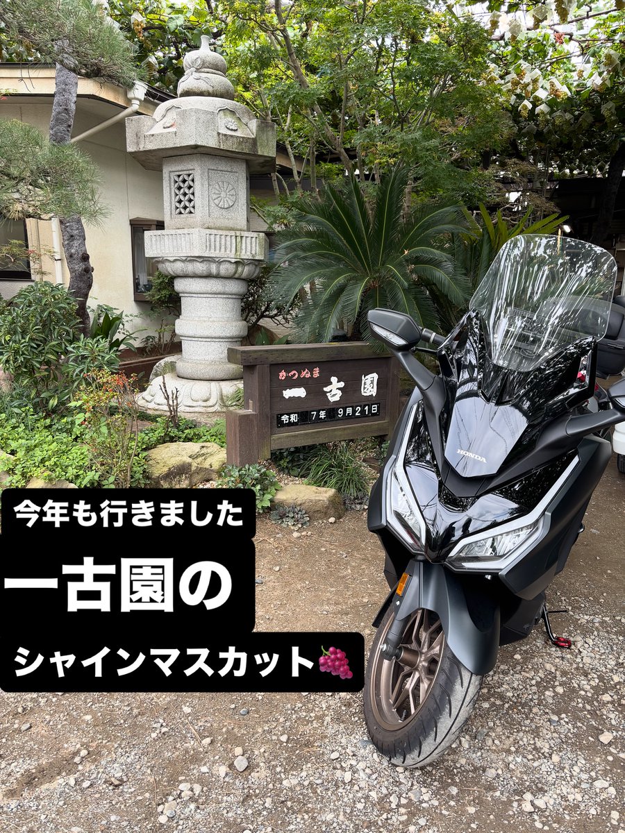 KaleyLeitzdo's tweet photo. 週末は静岡・山梨へ。恒例のシャインマスカット���信玄餅ファクトリー、遠回りして��やかハンバーグも満喫。少し距離はありましたが、美味しいものに包まれた大満足の一日。バイクが心地よい季節ですね。 https://t.co/PBIYuYI9Fi