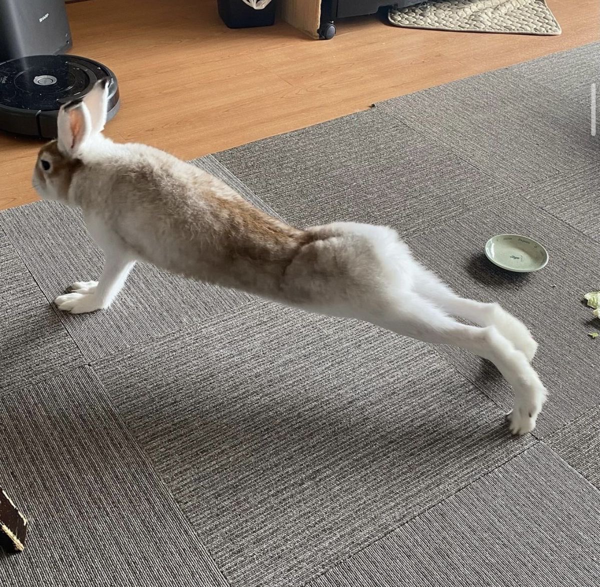 pxequin's tweet photo. Ummm how are you doing that im scared https://t.co/TKD8tj5vjV