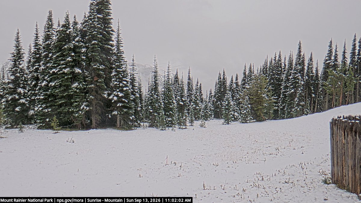 visitmtrainier's tweet photo. Meanwhile, up at Sunrise...snow is falling. 
Mount Rainier National Park Service webcam image.
https://t.co/nOK31O2cQJ. https://t.co/T33zcvum3v