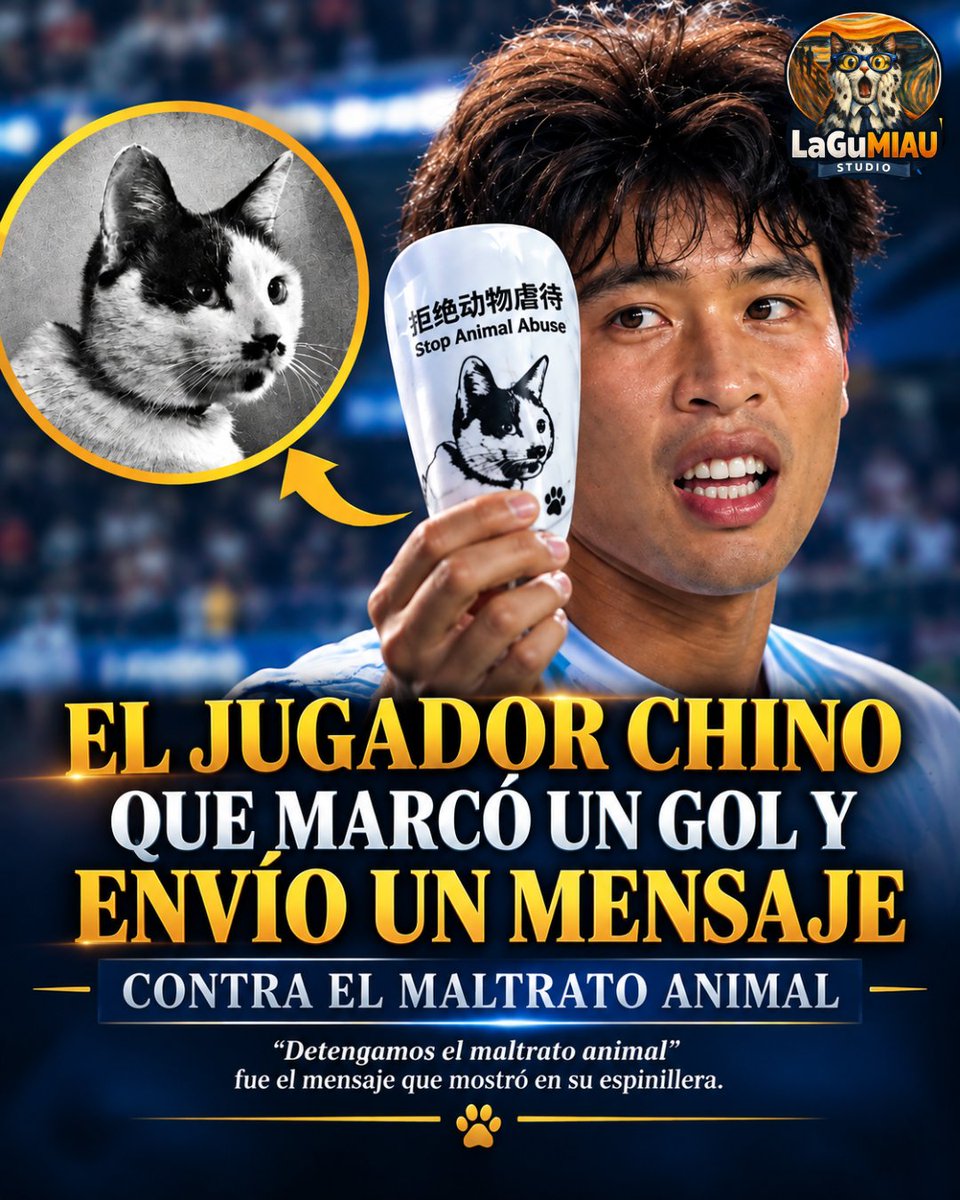 LaGu819044's tweet photo. Un futbolista chino llamó la atención tras marcar un gol y levantar su espinillera, que llevaba el dibujo de un gato junto al mensaje en chino “Detengamos el maltrato animal”.

El gesto rápidamente se volvió viral en redes sociales.
#gatos #noticia #informacion #curiosidades https://t.co/6m66zUWcaq