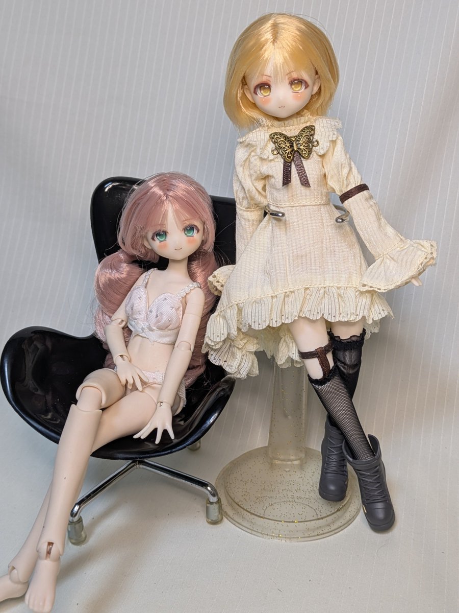 ogyi_san's tweet photo. #うちのこかわいい https://t.co/xcgzhu50PH