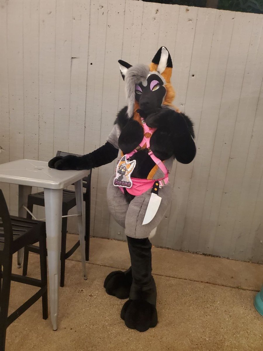 SerenaJack55's tweet photo. Thank you #furrymigration for the amazing time!! Until next year! 

🧵: @fleetingfennec 

#fursuit #furry #fursona #furryfandom https://t.co/PSHRfEUweK