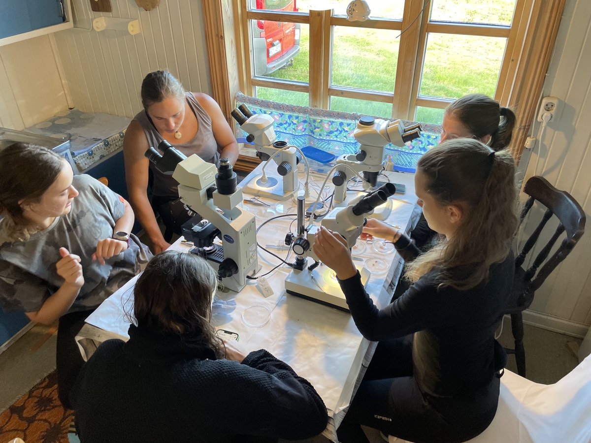FishProtLab's tweet photo. 5th Marine Parasitology course in Norway 🇳🇴, organised by @Prirodoveda_JU, with our lab taking part again. Two fantastic weeks of hard work, great students and a wonderful atmosphere! #MarineParasitology #Myxozoa #Parasitology https://t.co/SbBZOLqPOW