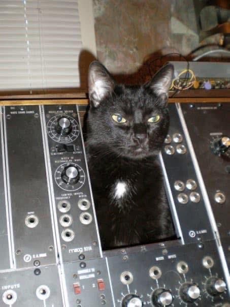 ComputerLove_'s tweet photo. Oscar, inside a Moog Modular https://t.co/cU2sSj4OmB