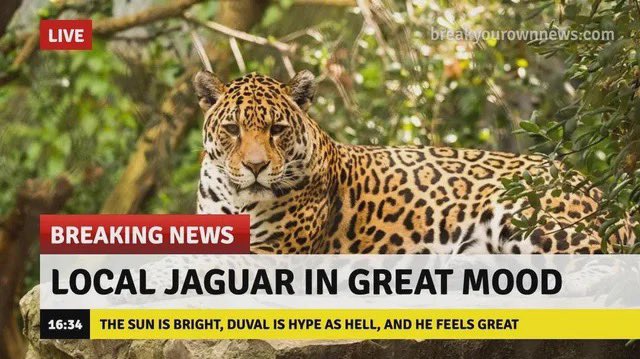 NoahBear26's tweet photo. @Jaguars https://t.co/KtSsWGuCKG