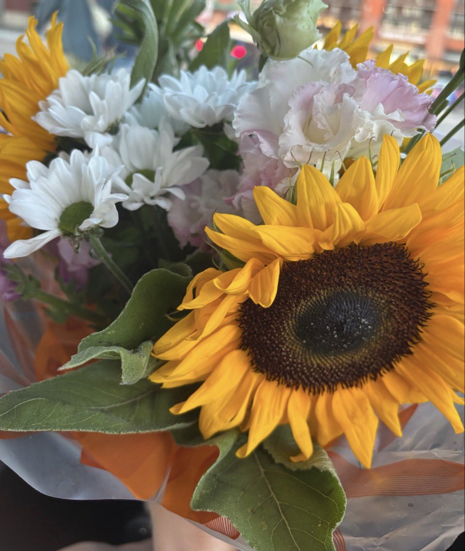 brie_hensley's tweet photo. Thank you, Mr. B, for the beautiful flowers !
I absolutely love them! 🌼💛

What a great way to brighten my day. https://t.co/I5zECqnJ8i