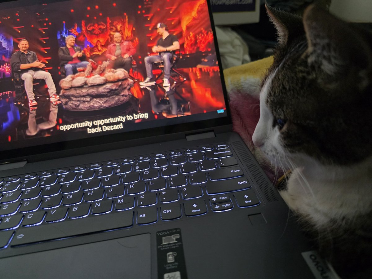mynmay's tweet photo. My cat &amp; I watching @Blizzard_Ent 2026 BlizzCon... we're @Diablo gamers after all! https://t.co/DObhDjHBlU