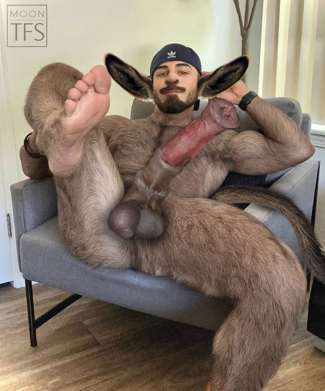 TfsMoon's tweet photo. He came to Pleasure Island expecting endless fun, never knowing the island was cursed. As the night went on, fur covered his skin, his ears grew longer, and his body was changing. The next morning in the hotel, he woke up different..

Commissions in DMs!
#DonkeyTF #Transformation https://t.co/5ep5PHo9Q1