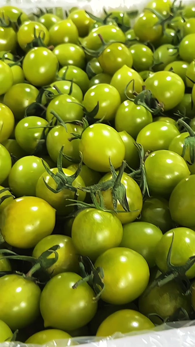 ChereeAlqu94's tweet photo. Tomates cherry frescos, dulces y jugosos, directos del campo. Perfectos para ensaladas o picadas. Calidad 10/10 ， https://t.co/nellhgtXW6