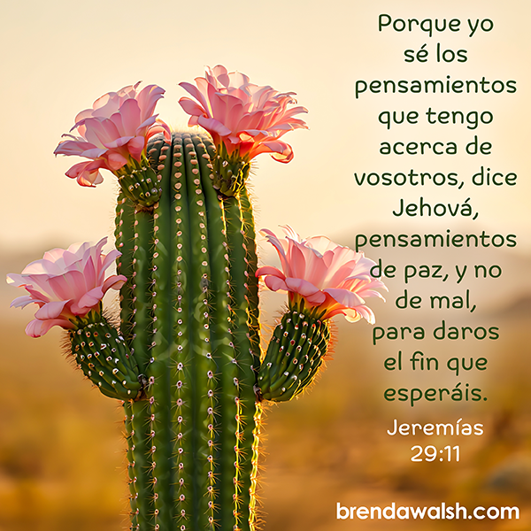 brendakwalsh's tweet photo. 🌵🌸 Así como los cactus florecen en la sequedad del desierto, Dios hace brotar vida y belleza en nuestras temporadas más difíciles. Sus pensamientos para ti son de paz, bienestar y un futuro seguro. ¡Confía en Su proceso hoy! 🙏✨
#Fe #PromesasDeDios #Esperanza #DiosEsBueno https://t.co/08vIVMslna