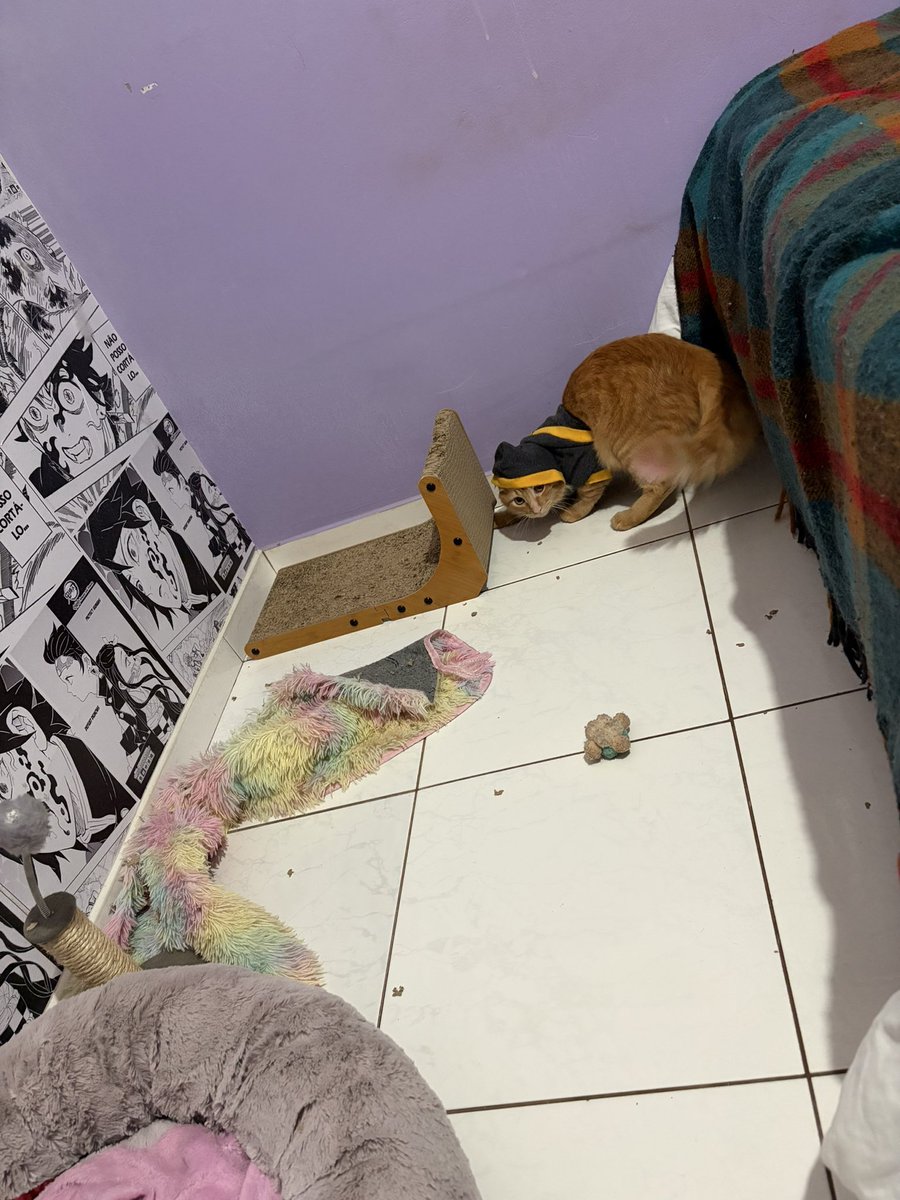 saohripsps's tweet photo. um dia vc é um técnico de t.i bem sucedido e no outro vc se envolve com drogas pesadas chamadas churu e perde tudo… triste a vida. https://t.co/3zSSLdrMul