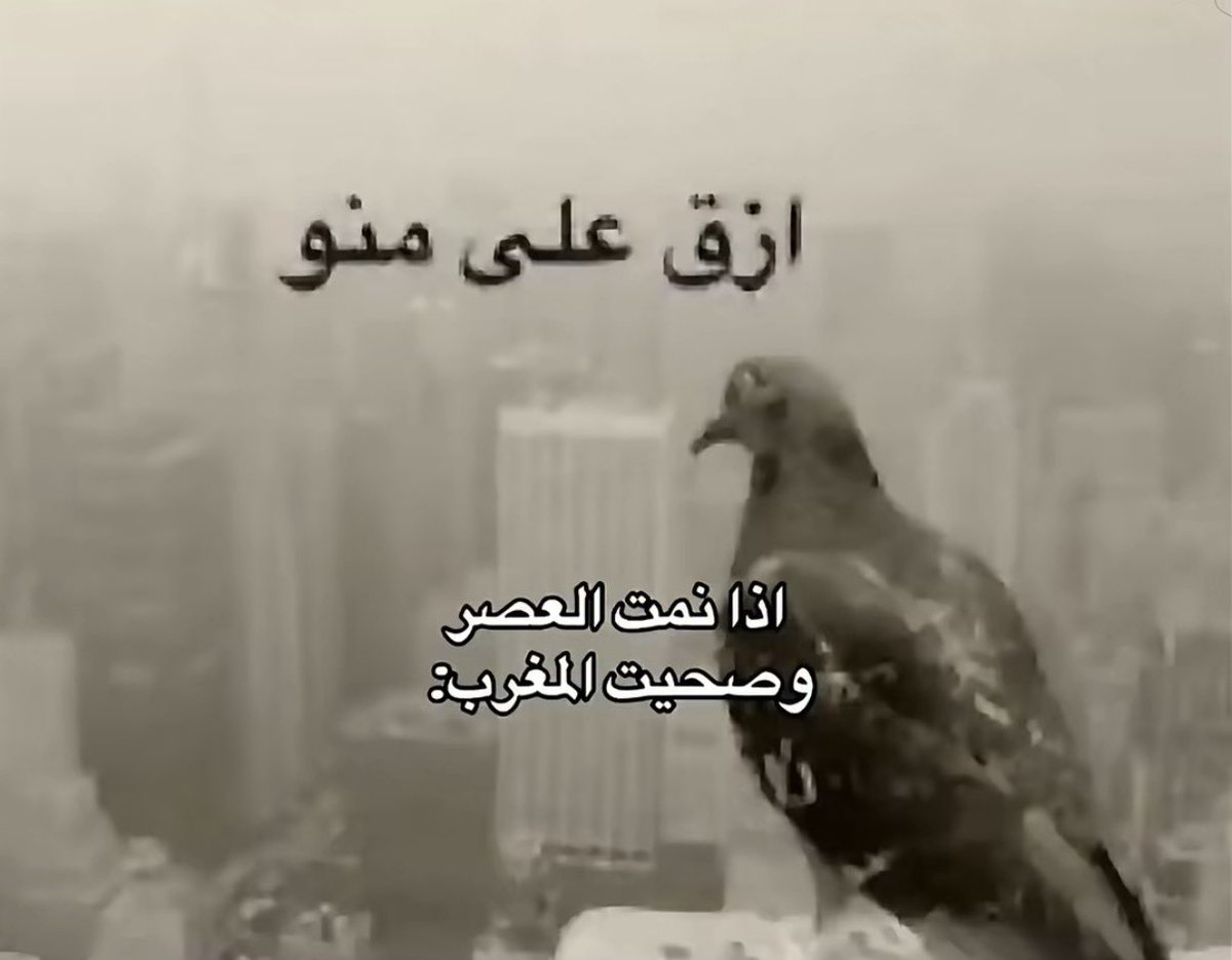 imealook tweet picture