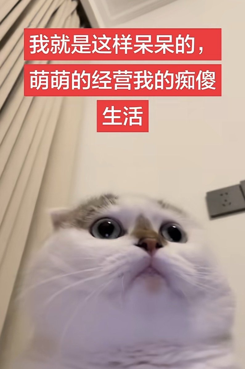 Liu53au's tweet photo. 这种日子什么时候是个头 https://t.co/whNClSjMTx