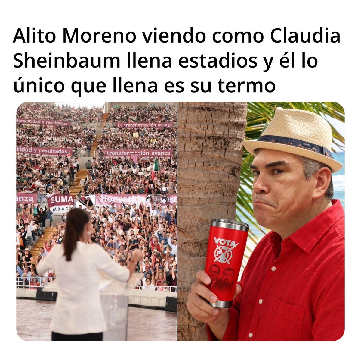 Capaianca's tweet photo. @alitomorenoc https://t.co/TnTq7exEN1