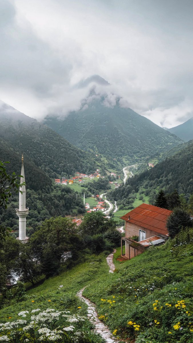 zeyydinn's tweet photo. karadeniz ya https://t.co/MUJiA4ya4a