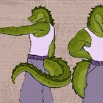 Photo by alaim 🐊 (@backseatgators)