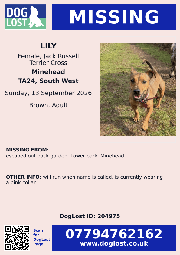 millypod1's tweet photo. 🆘13 SEPT 2026 #Lost Lily #ScanMe
Jack Russell Terrier Cross Female
Escaped out back garden, Lower park #Minehead #Somerset #TA24
https://t.co/a9MrBAlK4G https://t.co/VsQubUj5Yl