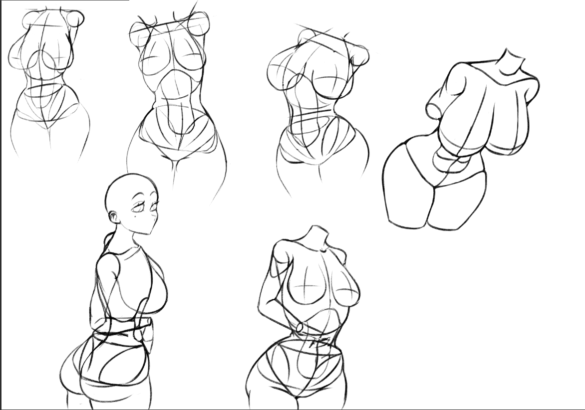 OwOSnego's tweet photo. Fuck it. Posting anatomy practice of today cause I think it turned out decent. #digitalart #myhandhurts https://t.co/uj4PFRcYII