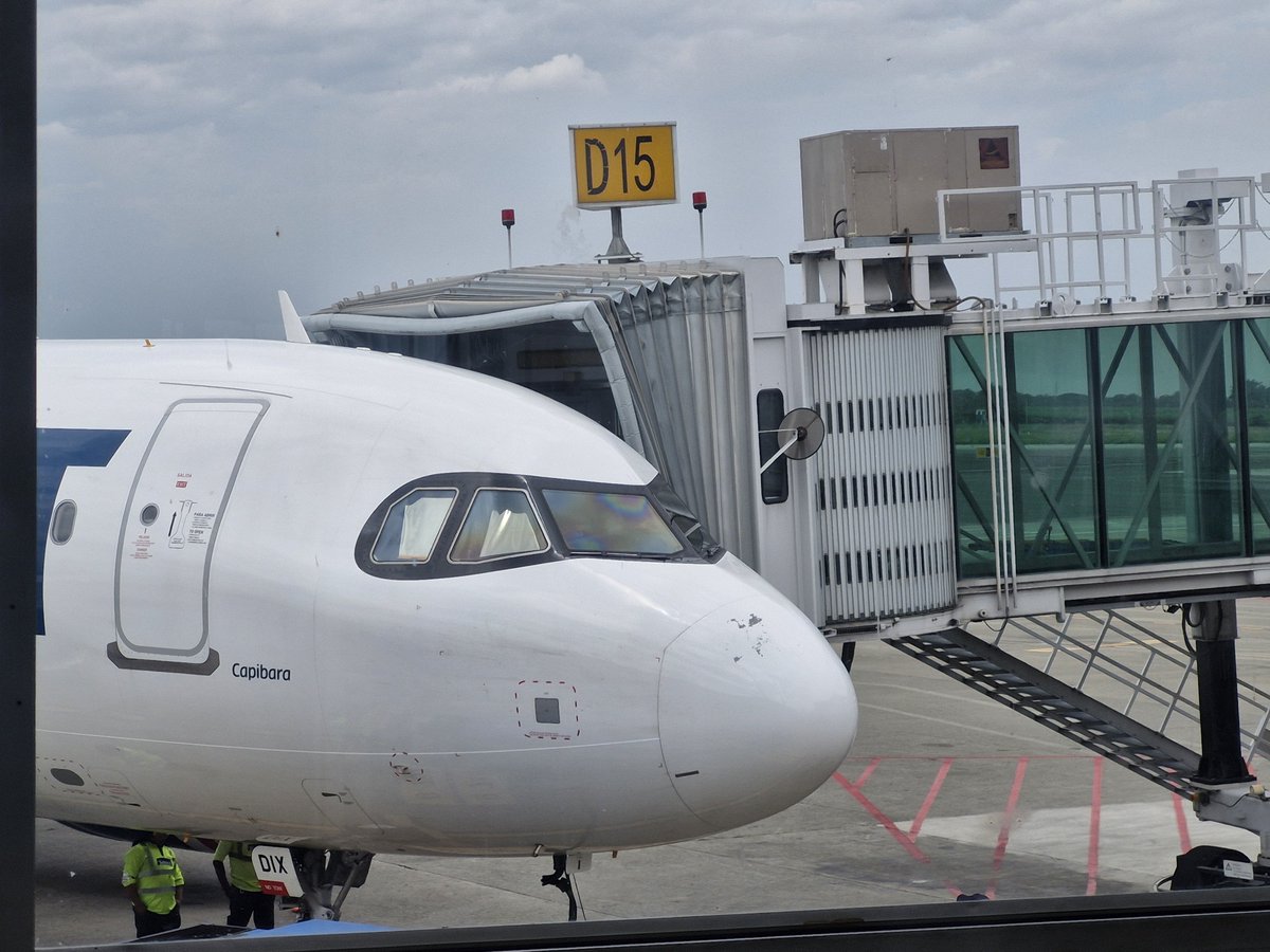 johnalbertoap's tweet photo. El #Capibara #CCDIX en el Bonilla Aragon @alfonsobonillaaragon haciendo el #Antofagasta #CLO y regreso.
#Airbus320 #Jetsmart @jetsmart_colombia
@VuelaJetSMART
#Planespotting
#AropuertoAlfonsoBonillaAragon https://t.co/lsu1h7KkXv