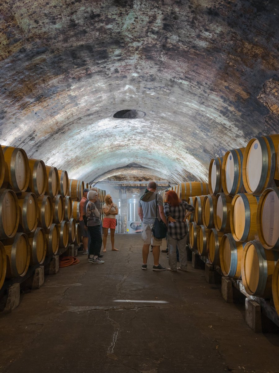 VisitMO's tweet photo. Show-Me wine country! 🍷

Augusta became America’s first federally recognized wine region, while Stone Hill in Hermann is home to the largest series of underground arched cellars in the U.S.

Explore more Missouri wineries at https://t.co/HvlecF26Du.

— Mo https://t.co/eSacZp4rTz