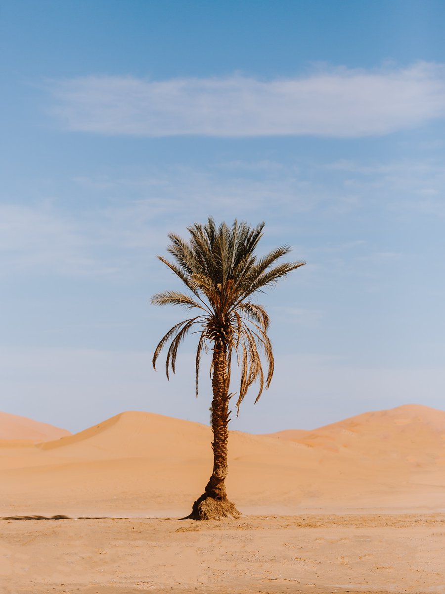 FaustoSwiabtq's tweet photo. Endless sand, endless possibility. https://t.co/jgKrhsyMwA