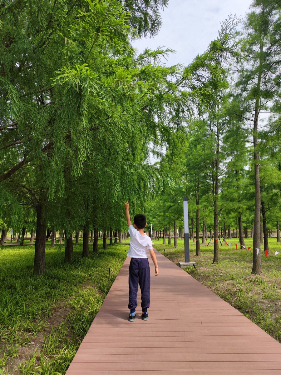 MorrisLittjp's tweet photo. Sip 8 cups of water daily u0026 take a 10-min walk after meals—small, doable habits that keep your energy steady and health on track https://t.co/JM2rqCf7n1