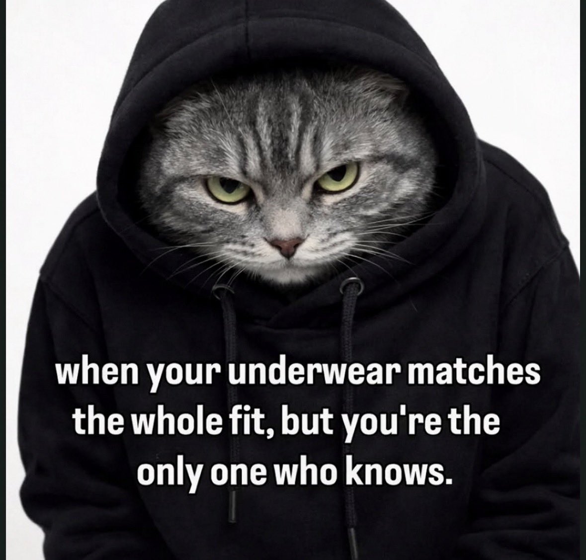 literallymecats's tweet photo. https://t.co/ZgxWzGLAjX