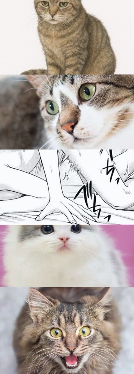 laurysimion's tweet photo. お姉ちゃんのこと大好き‼️大好き‼️大好き‼️

(1/4) SFW https://t.co/8ekdeiCmuS