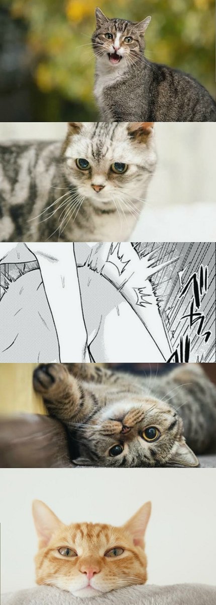 laurysimion's tweet photo. お姉ちゃんのこと大好き‼️大好き‼️大好き‼️

(1/4) SFW https://t.co/8ekdeiCmuS