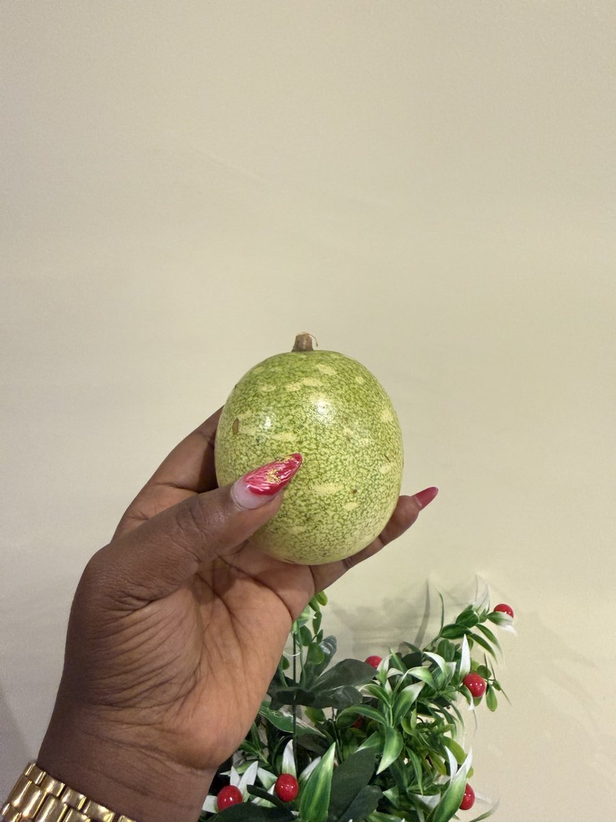 lifeofomolola's tweet photo. Get this if you are dealing with Mould in your Space and thank me later. It’s called Tagiri and If you don’t believe me , as your Yoruba friends. The English Name is Christmas Watermelon. It acts as a Dehumidifier and does so many other numerous things. You are welcome #tagiri https://t.co/Eh8EPVqgyn