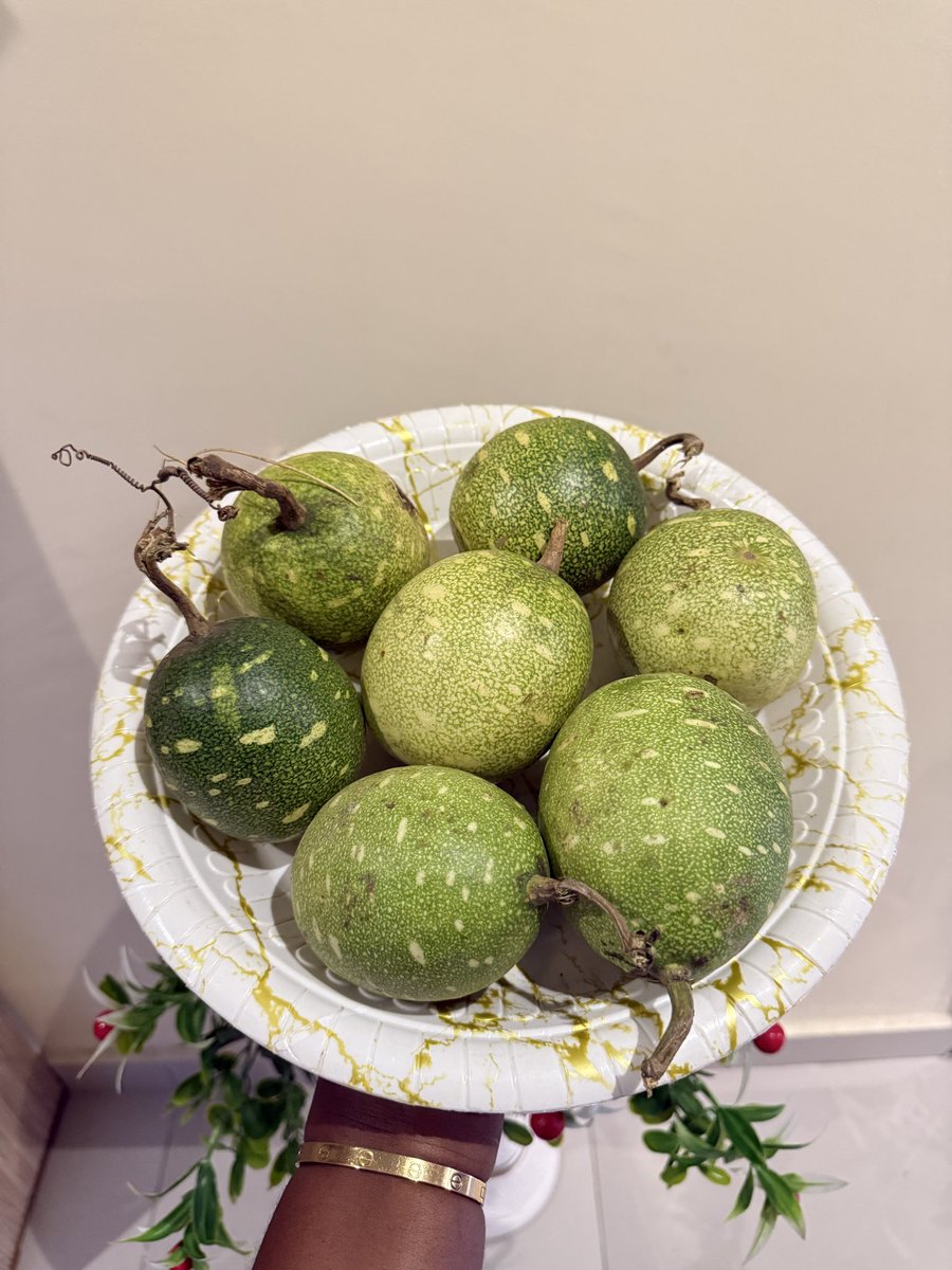 lifeofomolola's tweet photo. Get this if you are dealing with Mould in your Space and thank me later. It’s called Tagiri and If you don’t believe me , as your Yoruba friends. The English Name is Christmas Watermelon. It acts as a Dehumidifier and does so many other numerous things. You are welcome #tagiri https://t.co/Eh8EPVqgyn